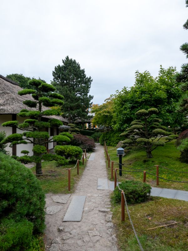 Ein Foto vom japanischen Garten in Hamburg aus dem Jahr 2025